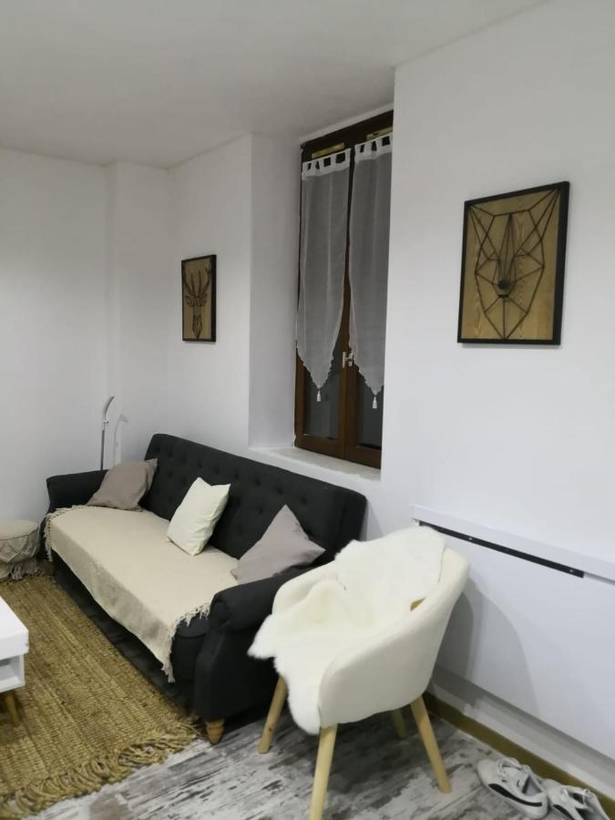 Studio Zen Et Cosy, Neuf En Pleine Ville 생클로드 외부 사진
